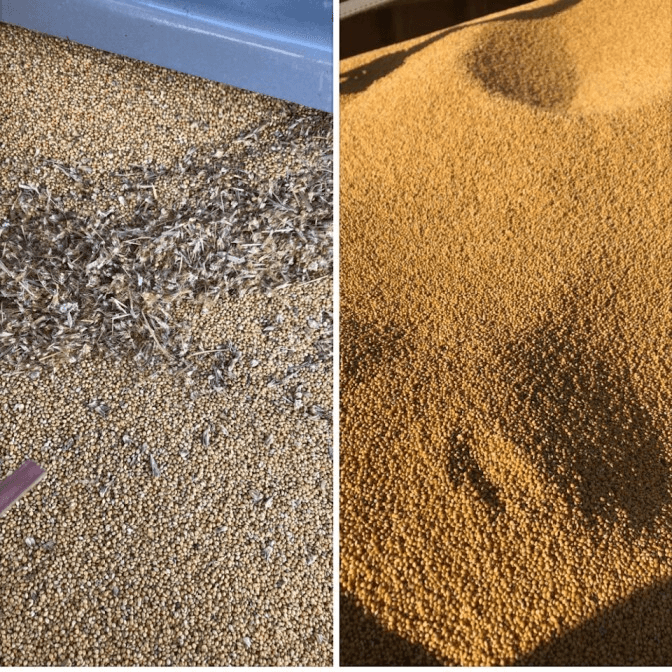 Gallery Image: Golden Waves llc Mobile Grain Cleaning